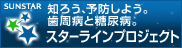 �T���X�^�[ �X�^�[���C���v���W�F�N�g