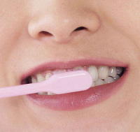 食育の知識のない人でむし歯のリスクが2倍に上昇　早期の食育が必要