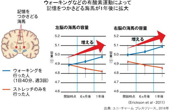日本健康運動研究所-「ソーシャル・ウォーキング」で認知症を予防 運動と社会参加を両立