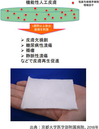 京都大学発の新たな人工皮膚が承認　「糖尿病性潰瘍」に効果