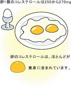 卵のコレステロール