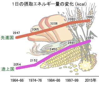 摂取エネルギー量の変化