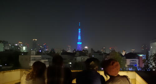 世界糖尿病デー　東京タワー