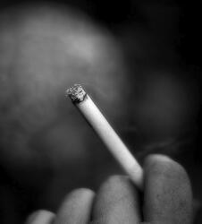 喫煙者と同居する家族の8割以上が「禁煙して欲しい」と考えている