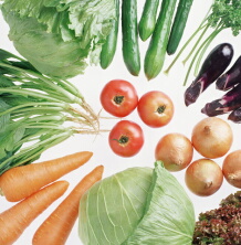 野菜のポリフェノールがコレステロール吸収を抑え肥満を防ぐ