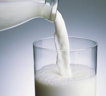 牛乳やヨーグルトは脳の健康に良い　認知症のダメージから脳を守る