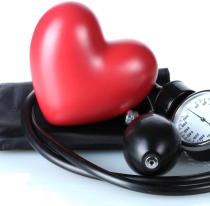 なぜ齢をとると血圧が高くなるのか　加齢高血圧のメカニズムを解明