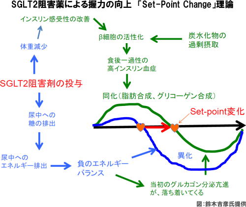 SGLT2阻害薬による握力の向上　「Set-Point Change」理論
