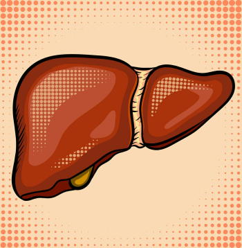 危険な「脂肪肝」は3つの方法で改善できる　肥満でない人も要注意
