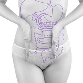 腸内細菌が内臓脂肪に影響　内臓脂肪の少ない人に多い菌が判明　健診のビッグデータを分析