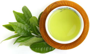 緑茶の健康効果に世界が注目　脂肪の燃焼を促しインフルエンザ予防の効果も