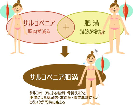 日本健康運動研究所-肥満より怖い「サルコペニア肥満」 食事と運動で ...
