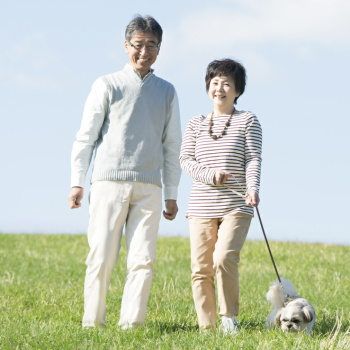 夫が高血圧や脂質異常症だと、妻も同じ生活習慣病になりやすい　日本人の夫婦8万7,000組を調査