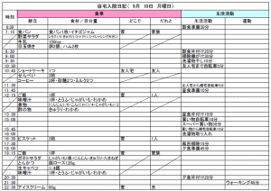 自宅入院日記記入例